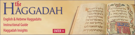 The Passover Haggadah: English & Hebrew Haggadahs, Instuctional Guide, Haggadah Insights