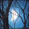 The Moon and Us