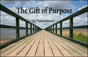 The Gift of Purpose