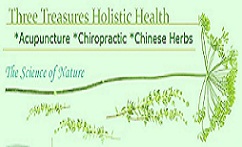 BellinghamAcupunture.com.jpg